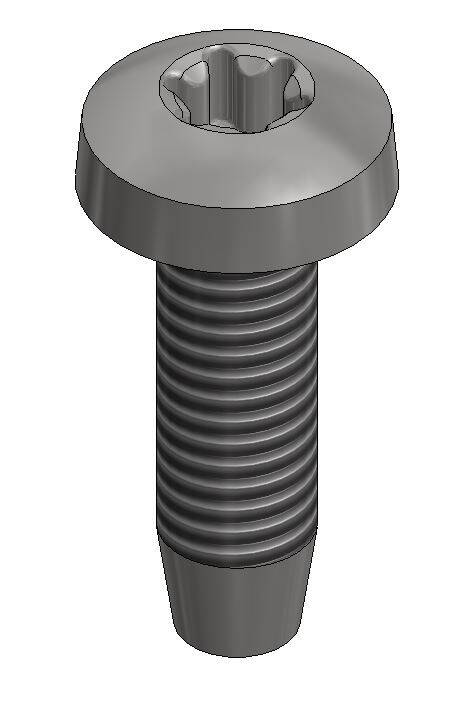 RVS zelftappende bout Torx 30, M6x10mm